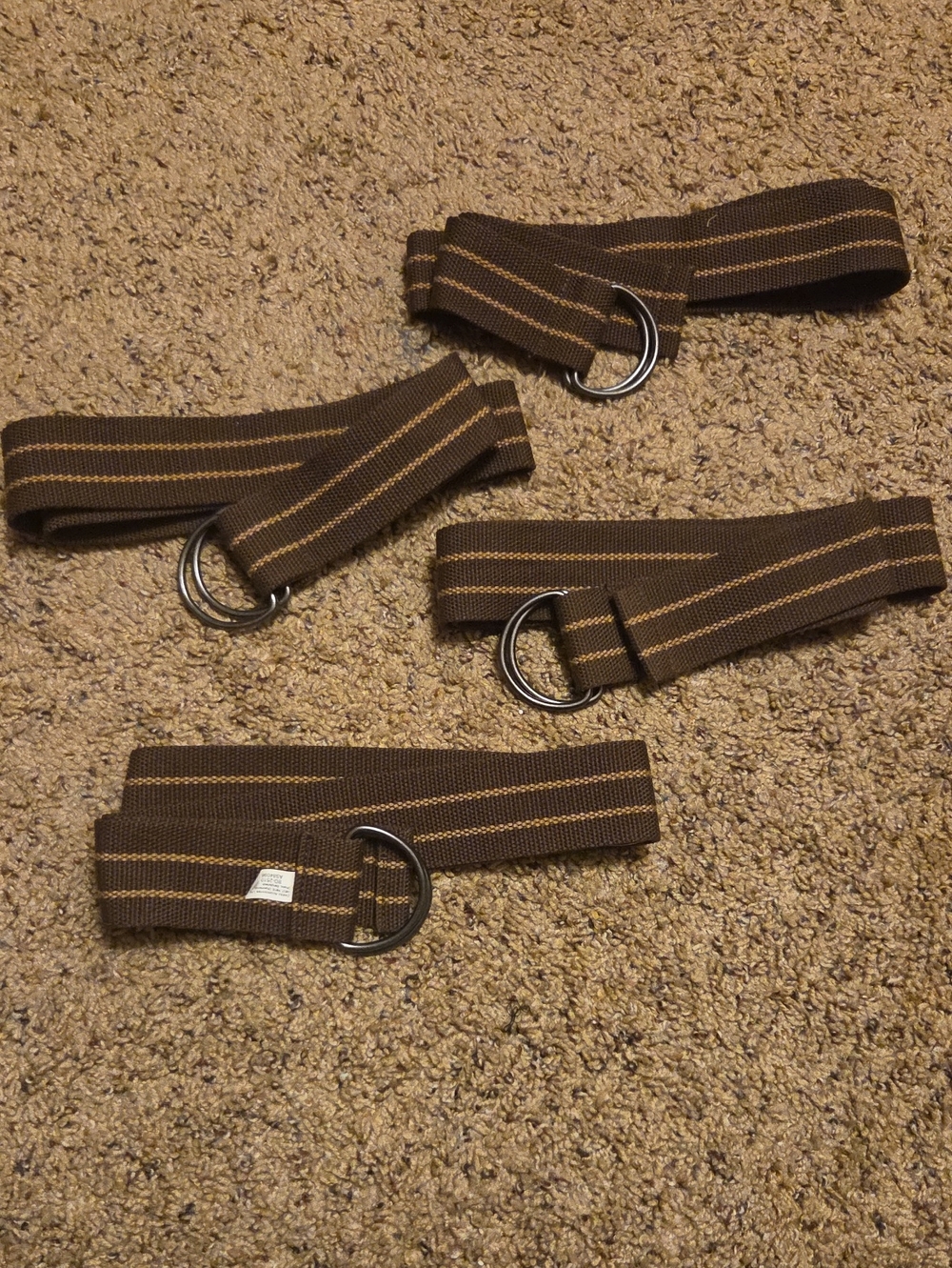 Brown Striped Webbing D-Ring Belt - 4 Pack (47 Inches Long)